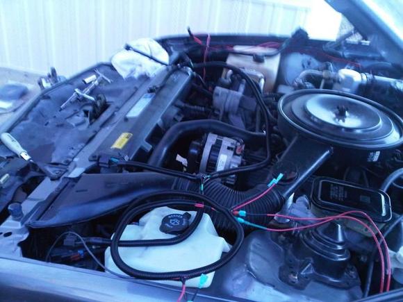 Installing the freshly built harness