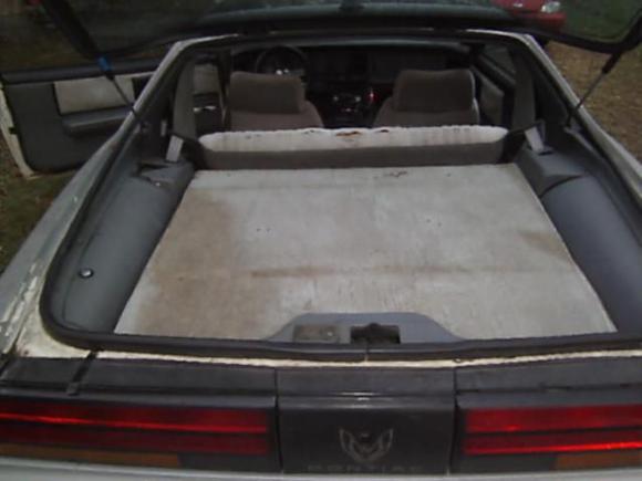 molded plywood to the contours of my trunk