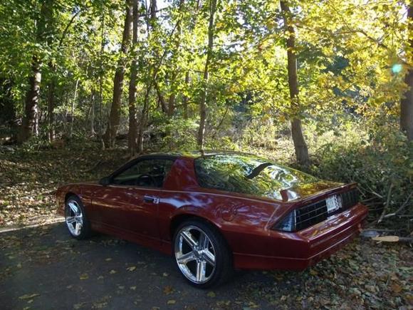 She's a real head turner...