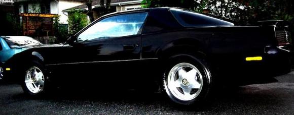 The Beast
