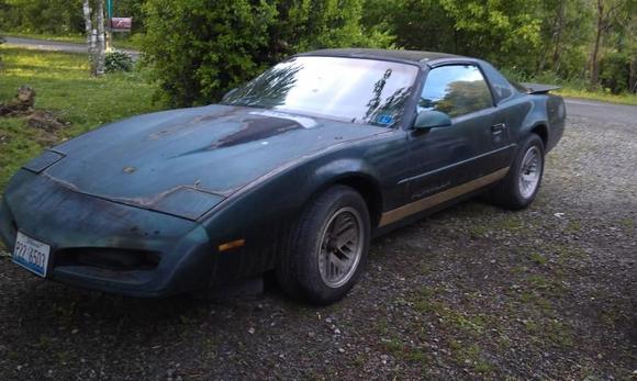 IMAG0004