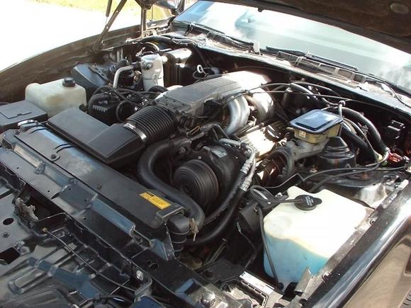1987 trans am GTA 015