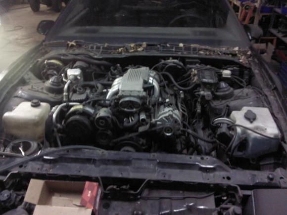 Original Engine