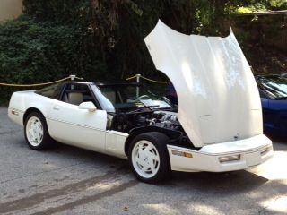 88 vett