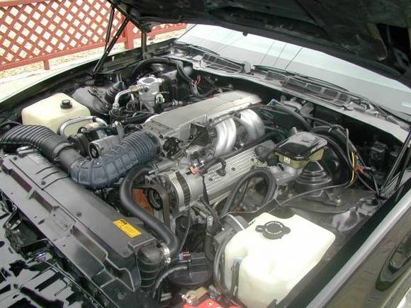 Crane 1:6 Ratio Roller Rockers