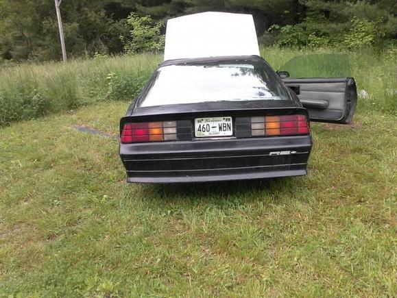 my car tail