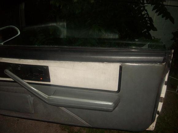 Right Door Panel