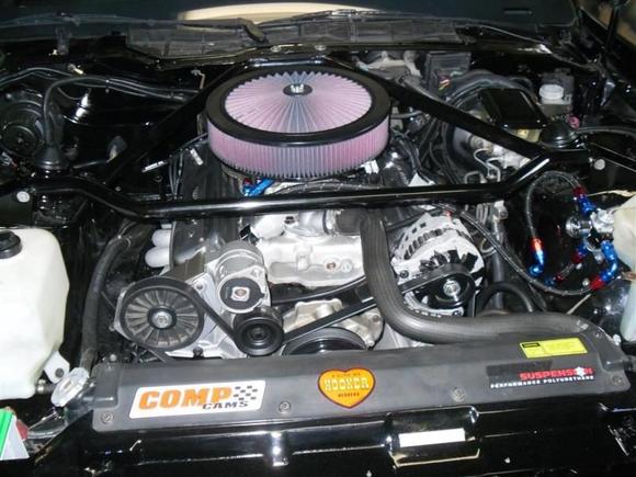 firebird formula 001 (Medium) (2)