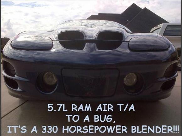 RAM AIR BUG PHOTO (2)
