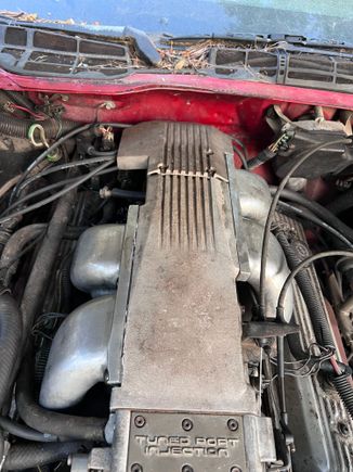 The SLP runners I just got installed.