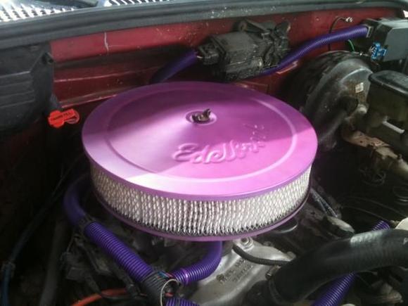 Purple Edelbrock   purple wire coverings