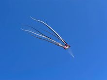 Another giant kite. Are these becoming a thing?