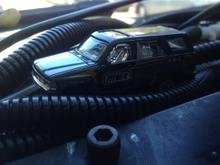 crawling its way through the mess of wires and hoses that go to the dash board gauges