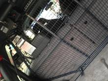 rear cargo area - I think you can see a tether anchor