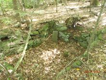 cellar hole next to the road