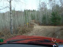 lot of great upland bird habitat here