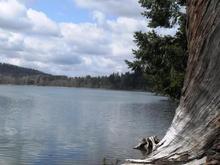 Alder Lake