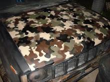 my version of a CF hood and tailgate