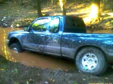 Old Truck Bone Stock and Stuck.