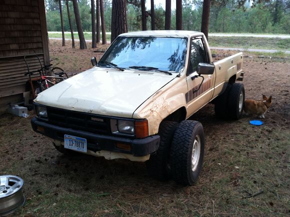threw the white steelies up next to it to have a look. Corgi for scale.  The real bummer is, if my measurement is right the backspacing is for IFS, something like 4.5+", and won't work without spacers. Correct me if i'm wrong. They came with the truck and had a bunch of mismatched tires. Tossed the tires and storing the wheels for now.  I have 1.5" spacers x4 but i'd rather not use them.