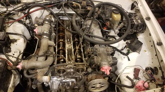 Replaced spark plugs as well. Also put new hardware on the coil pack trays. Driftmotion wanted $3 a screw. I went to local hardware store and picked identical Stainless steel hardware for .40 cents a screw