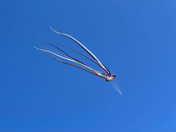 Another giant kite. Are these becoming a thing?