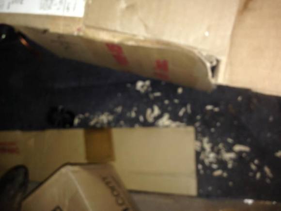 Mice chewed up boxes in the cargo area