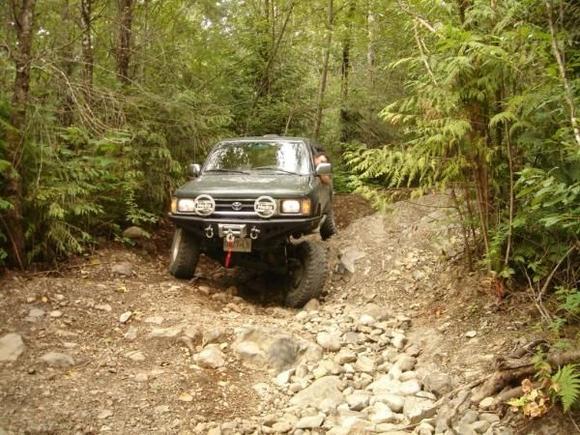 Hale Creek.  British Columbia 2007