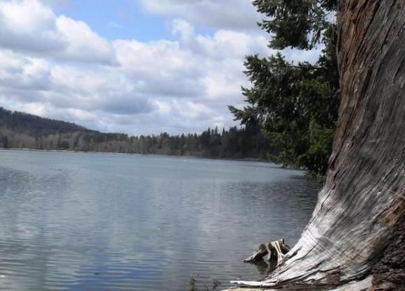 Alder Lake