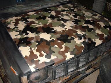 my version of a CF hood and tailgate