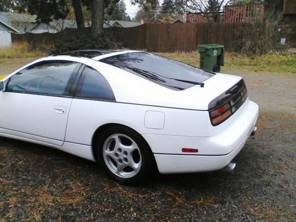 ZX Back