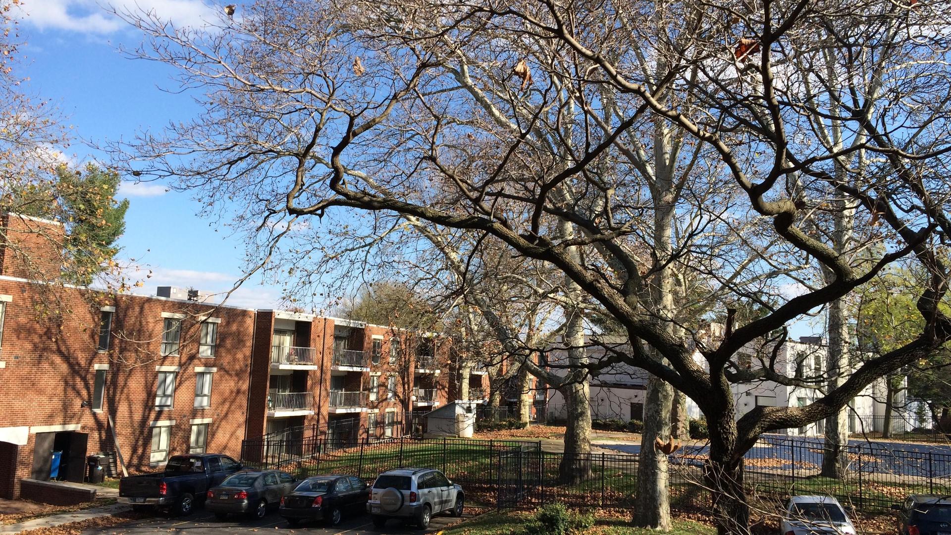 Afton Gardens Apartments Philadelphia Fasci Garden