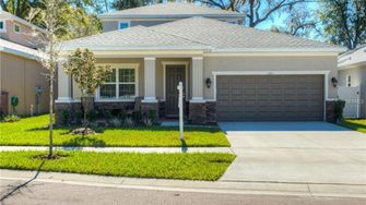 541 Westchester Hills Lane - Valrico, FL