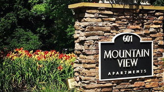 Mountain View Apartments - Knoxville, TN