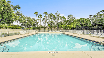 Cedar Forest Apartments - Tampa, FL