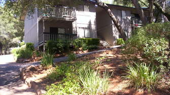 Cameron Ridge Apartments - Shingle Springs, CA
