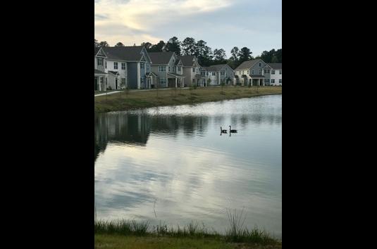 Cottages At Emerald Cove 91 Reviews Savannah Ga Apartments