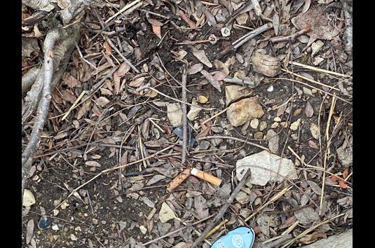 Monterey Apartments 53 Reviews Waukesha Wi Apartments For