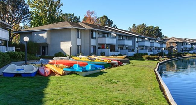 Beach Cove Apartments - 80 Reviews | Foster City, CA Apartments for