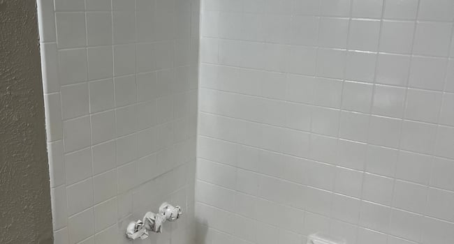 Move-in ready restroom shower
