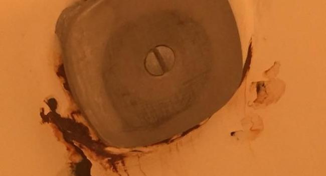 The Park at Forest Hill Apartments - 4 Reviews | Richmond, VA Apartments for Rent ...