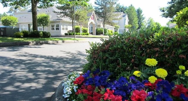 College Glen Apartments 43 Reviews Lacey, WA