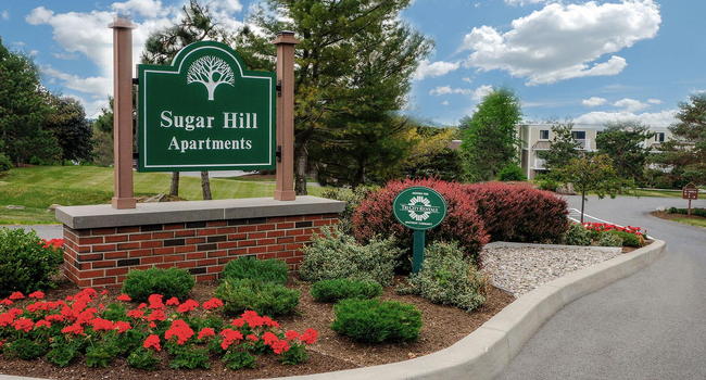 Sugar Hill Apartments  - Brunswick NY