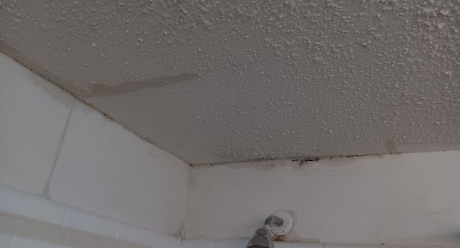 Leaking roof that was fixed. Mold on roof they told us to bleach