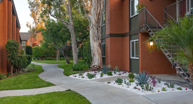 Highland Pinetree Apartments 57 Reviews Fullerton Ca