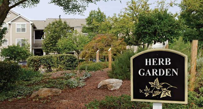 The Courts at Fair Oaks 130 Reviews Fairfax VA Apartments for Rent