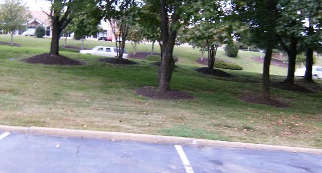 Hunter's Chase - 94 Reviews | Midlothian, VA Apartments ...