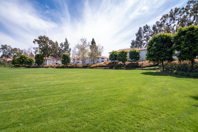 La Jolla Blue 195 Reviews San Diego, CA Apartments for