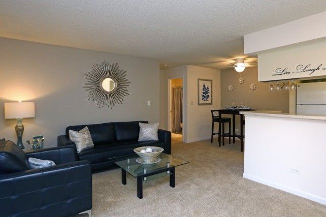 The Pointe Apartments - 76 Reviews | Arlington Heights, IL Apartments